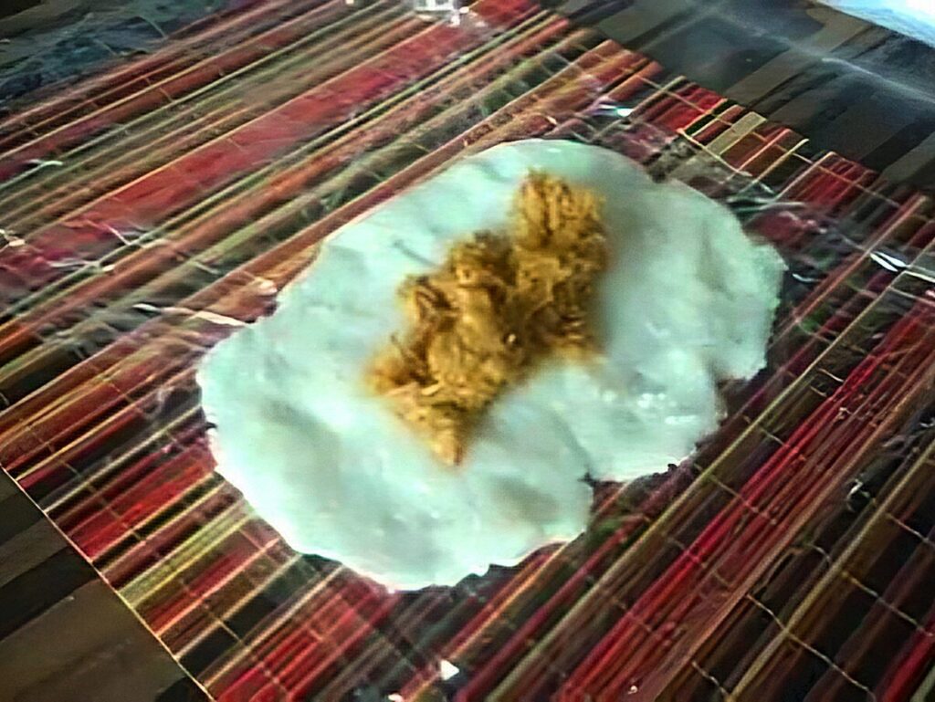 Zelf lemper maken volgens oma's recept
